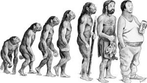 evolusjon
