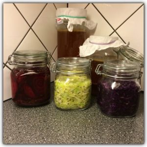 fermentering2